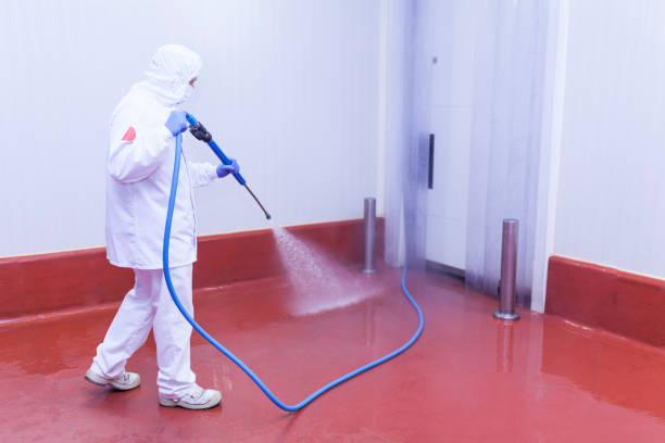 Best Patio and Deck Pressure Washing  in Farm Loop, AK
